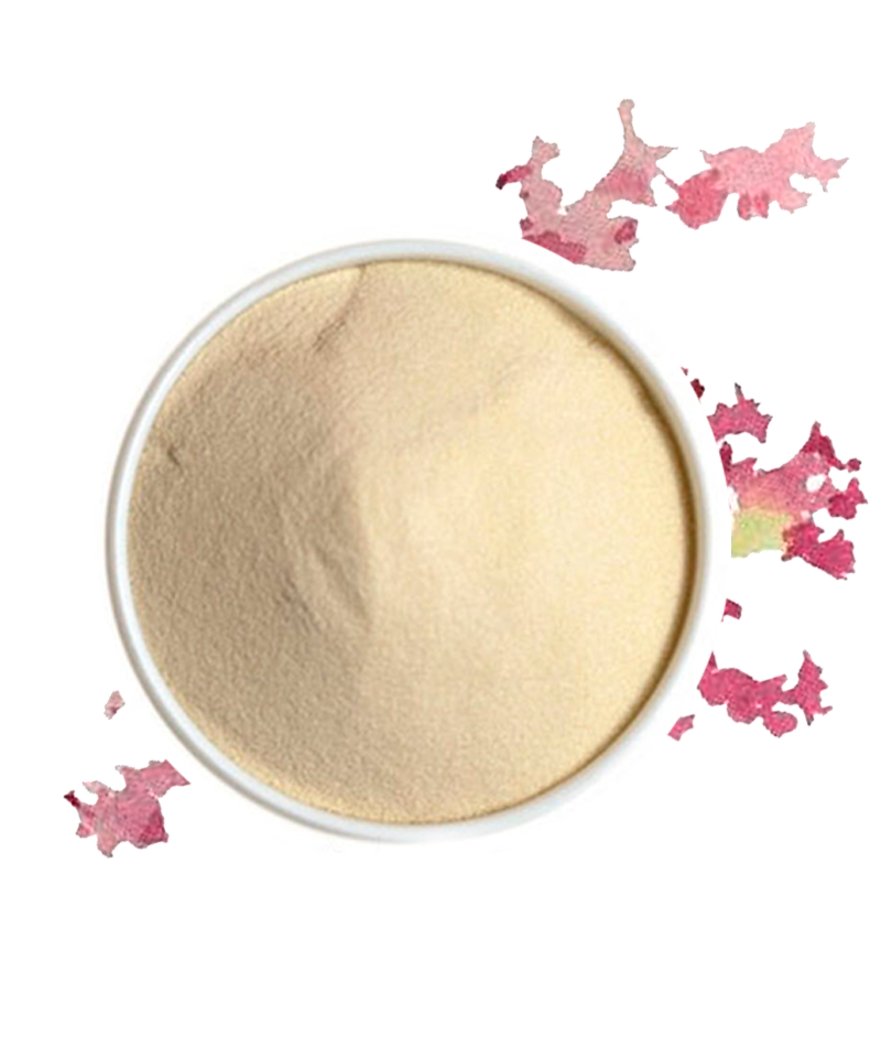 Produto Algas Brasil 2